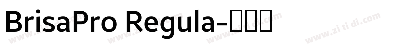 BrisaPro Regula字体转换
